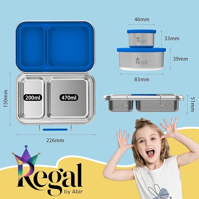 Bento-Style Stainless Steel Lunch Box -2 Compartment Stainless Steel Lunch Box - 2 Containers for Kids & Adults Dishwasher Safe Steel Lunch Boxes for kids