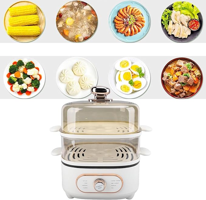 1200W 10.5L 2 Tier Electric Steam Pot Cooker with Steaming Plate, Efficiently Cooks and Steams Seafood, Vegetables, and Meat, Ideal for Noodles, Porridge, Slow Cooking (US Plug