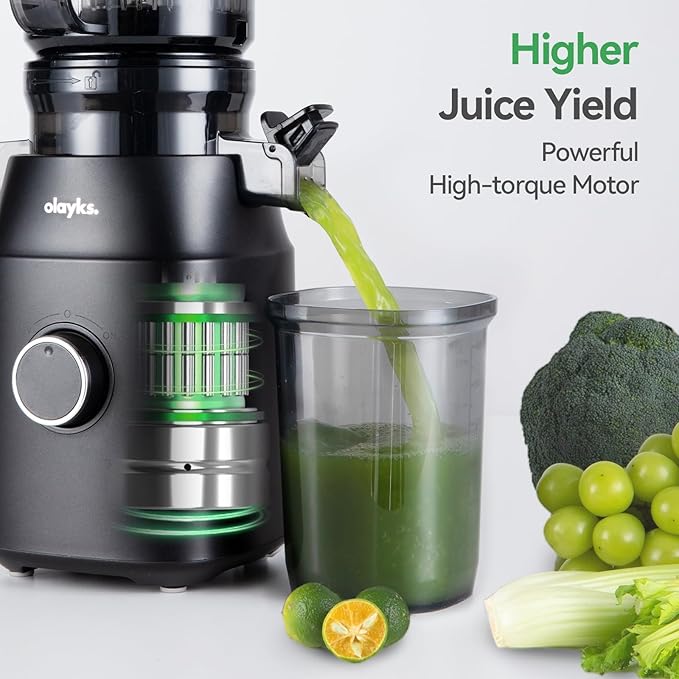 Juicer Machines, Cold Press Juicer with 4.3" Large Feed Chute Fit Whole Fruit and Vegetable, Masticating Machine with Juice Recipe, Self Feeding Effortless for Batch Juicing,Easy to Clean,Black