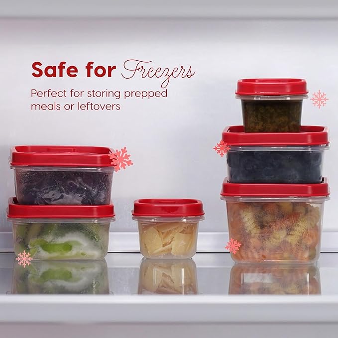 IRIS USA 24 PC Plastic Food Storage Containers With Lids | 12 Extra Small Containers & 12 Lids | For Sides Snack Fruit Dips Condiments, Microwave Dishwasher Freezer Safe, Clear/Red