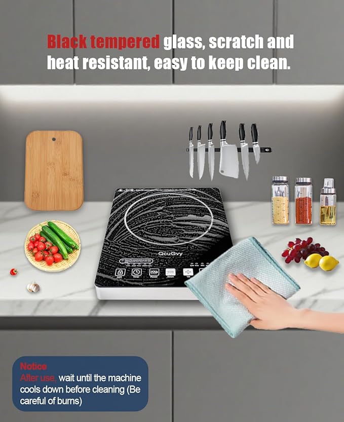 Portable Infrared Burner 2000W Electric Burner with 3 Hours Timer-Electric Hot Plate Touch Control Panel Adjustable Heating Power Glass Plate Electric Cooktop for Cooking (Black 2)