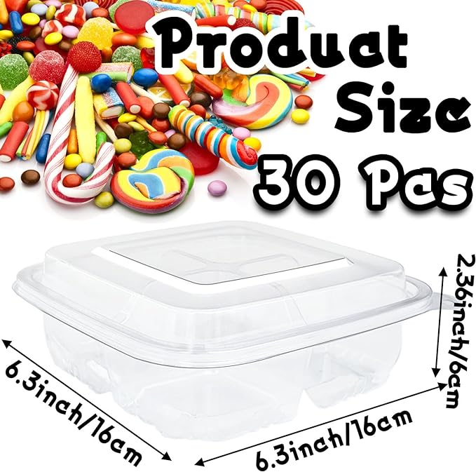 Haawooky 30 Pcs Bento Snack Containers,4 Compartment Meal Prep Lunch Containers with Lids,Food Storage Containers for School Work Travel