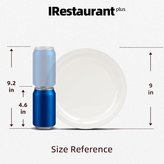 Stoneware Narrow Rim Commercial Grade Dinnerware America White, Plate 9", Case of 24