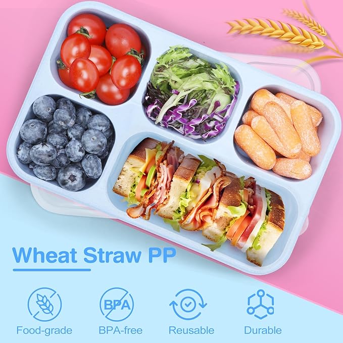 Rinwoc Bento Box Adult [Portion Size], 3 Pack Snack Containers with 5 Compartments for Meal Prep & On-the-Go [Work, Travel], Lunchable Container Reusable and BPA-Free