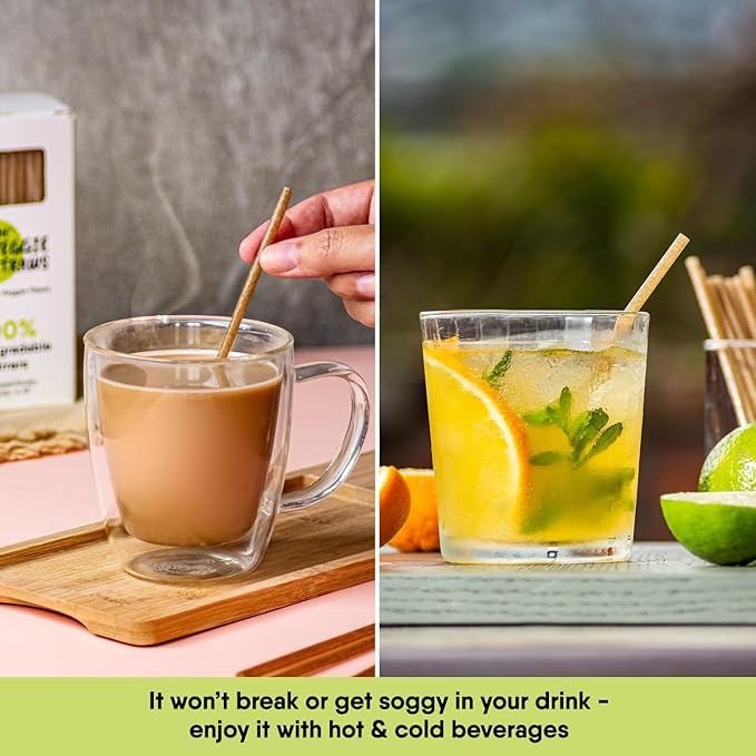 The Veggie Straws – 450 PCS of 4.75 Inches Unwrapped Biodegradable Drink Stirrers – Made of Vegetable Fibers, Best Cocktail Stirrers for Drinks of All Kinds