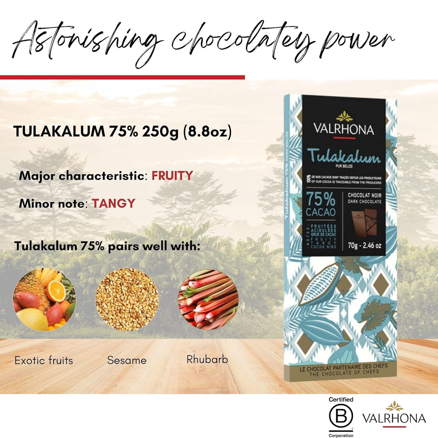 Valrhona Tasting Bar Gift Set ASSORTMENT. 6 Exquisite Tasting Bars - Perfect For Your Chocolate Obsessed Loved One. Grand Cru Bars from Dark to Light & In Between. Great for Baking! 70g (Pack of 6)