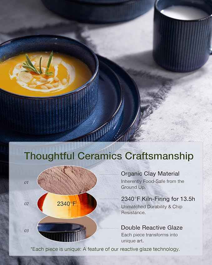 Famiware Star Dinnerware Set with Pasta Bowls, Service for 6 (24 Pieces), Ribbed Stoneware Plates and Double Bowls Sets - Chip & Scratch Resistant, Microwave & Dishwasher Safe Dishes, Nebulas Blue