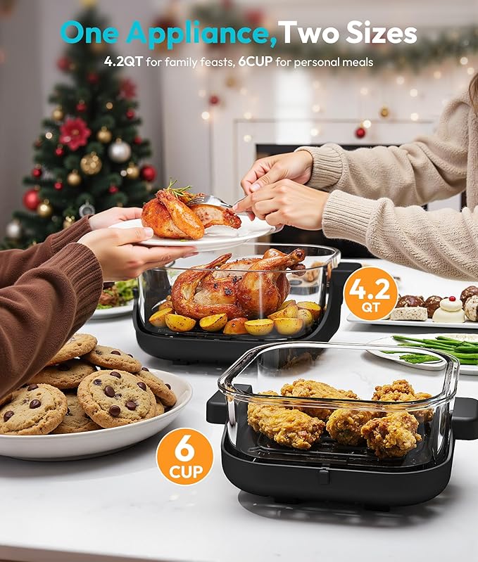 Rellytech Portable Glass Air Fryer - 1500W, 4.2 QT & 6-Cup Dual Glass Containers with Lids, 4-in-1, 60 Min Timer, 140°F-400°F Adjustable, Microwave, Freezer & Dishwasher Safe, Grey
