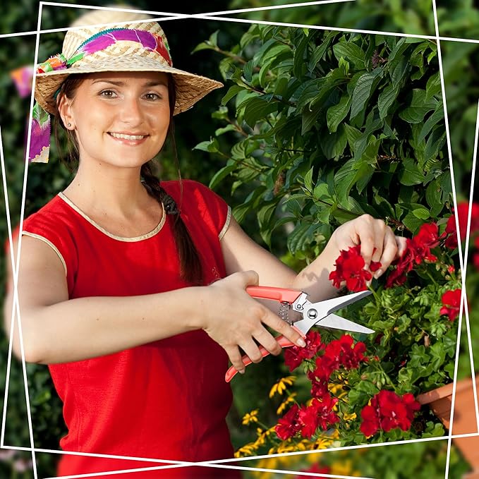 Chumia 30 Pcs Garden Flower Shears Pruning Scissors Heavy Duty Plant Scissors Trimming Garden Clippers Hand Tree Pruner for Yard Gardening Plants Hedge Flower Tree Cutting Secateurs (Orange)
