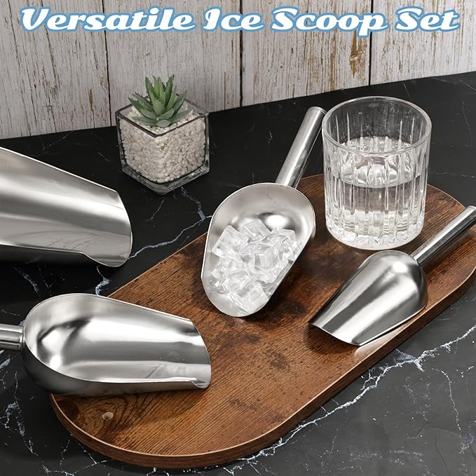 3 + 6 + 9 + 12 + 16 OZ Ounce Stainless Steel Ice Scoop Set of 10, Food-Grade, Multiple Sizes Metal Food Scoop, Rust-proof Candy Ice Cube Scoop for Kitchen Party Wedding Popcorn Dog Food Potted Plants