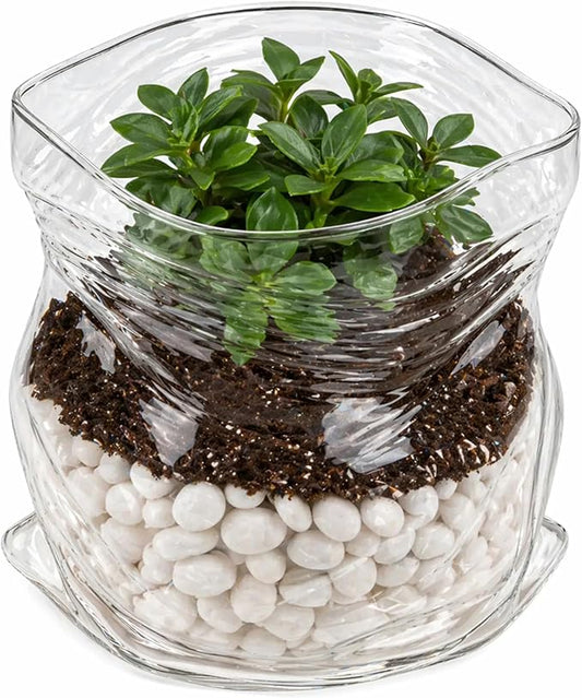 Restaurantware Clear Glass Bowl 22 oz Crinkle Edge Unzipped Bag Bowl Creative Serving Dish Dishwasher Safe Transparent Glass and Microwave-Safe Container for Serving Desserts, Candies