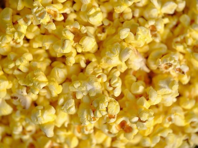 Amish Country Popcorn | 12 Pack Mixed Seasoning Bundle