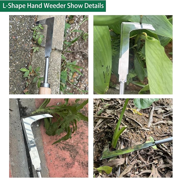 3 Pack Weed Puller Tool, Manual Stainless Steel Weeding Tool, L-Shape Crack Sickle and 4 Teeth Weeder Tool with Gloves for Lawn Vegetable Garden Farm Planting