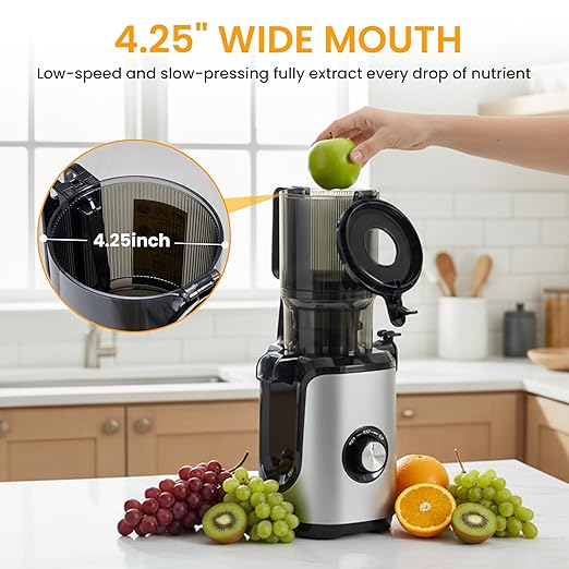 HealSmart Cold Press Masticating Juicer, Wide Feed Chute Accommodates Whole Produce, Premium Juice Extractor with High Yield, BPA-Free & Easy Clean, Silver