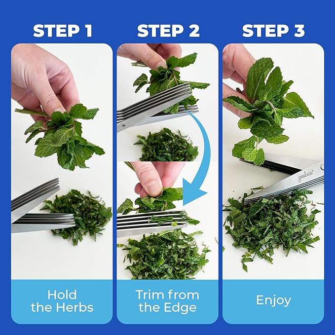 Jenaluca Herb Scissors with Five Blades - Two Pack - Herb Chopper with cleaning comb and safety cover