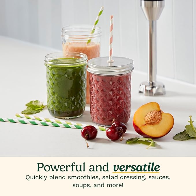 Cuisinart CSB-179 Smart Stick Variable Speed Hand Blender, Stainless Steel
