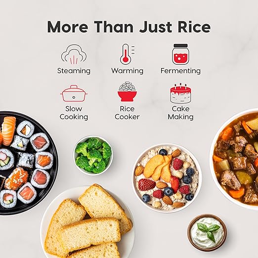 IRIS USA Micom Japanese Rice Cooker, 3-Cup Uncooked/6-Cup Cooked, Fuzzy Logic Kitchen Appliance with Recipe Presets, Slow Cooker, Steamer, Hot Pot & Warming Function, Compact & Portable for Healthy Meal Prep