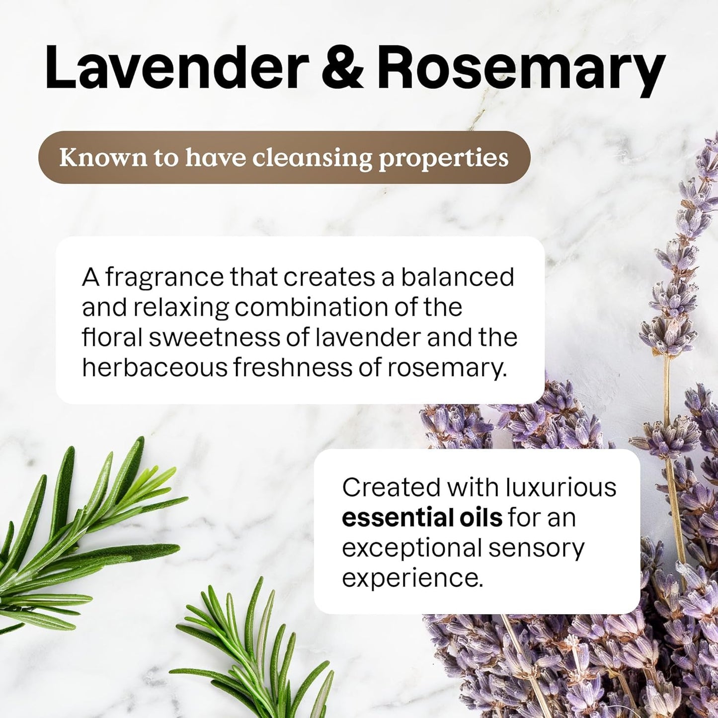ATTITUDE Dish Soap, EWG Verified, Plant and Mineral-Based Ingredients, Vegan and Cruelty-free Household Products, Lavender and Rosemary, 16 Fl Oz