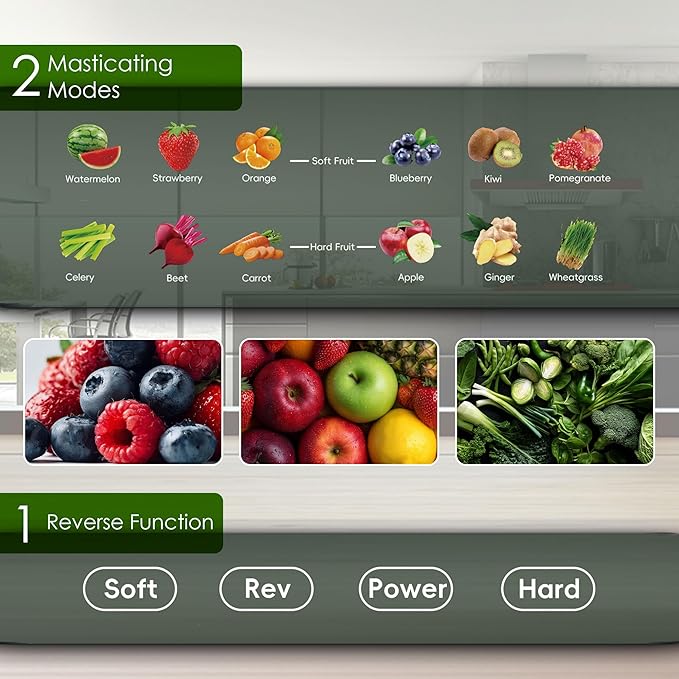 Cold Press Juicer, Touchscreen Juicer Machines with Wide Feed Chute, Stainless Steel Masticating Juicers Easy to Clean, Ergonomic Operational Panel Design, High Juice Yield, Steel