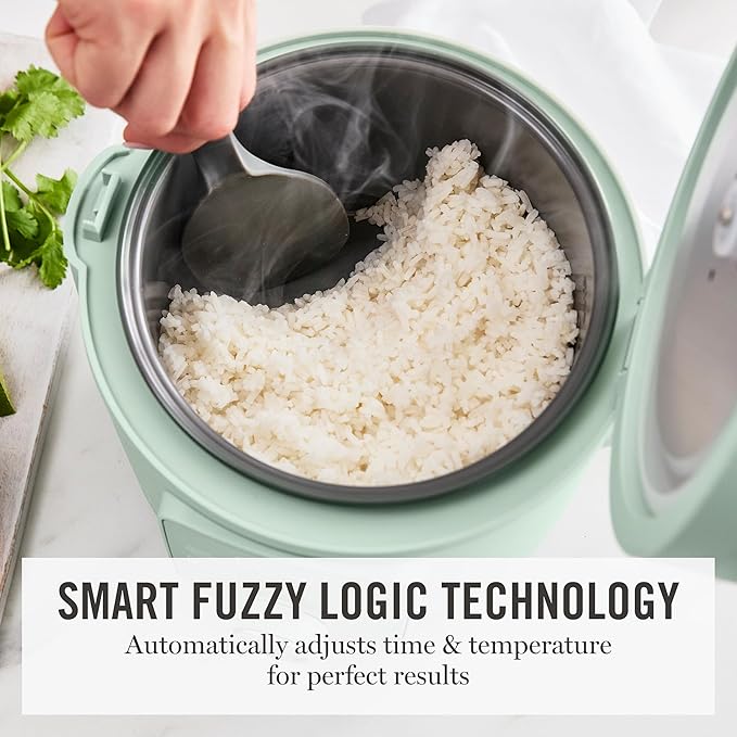 Martha Stewart Rice Cooker, 4 Cup (Uncooked) / 8 Cup (Cooked), Ceramic Non-Stick Removable Pot, Keep Warm, Measure Markings, Steam Basket, Brown & Sushi Rice, Quick Cook, Quinoa, Grains, Oats, Honeydew Green