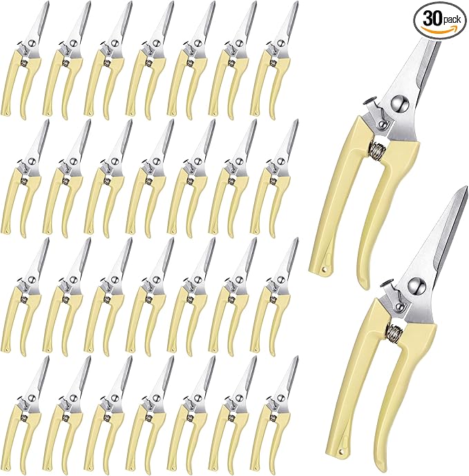 Chumia 30 Pcs Garden Flower Shears Pruning Scissors Heavy Duty Plant Scissors Trimming Garden Clippers Hand Tree Pruner for Yard Gardening Plants Hedge Flower Tree Cutting Secateurs (Beige)