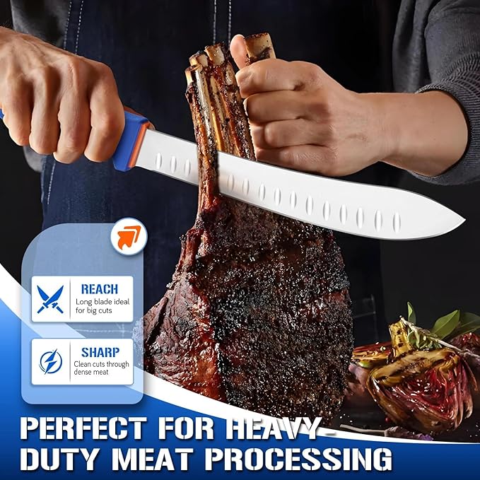 DRAGON RIOT Butcher Breaking Knife 10 Inch in High Carbon Stainless Steel, Razor Sharp Carving Slicing Knives for Meat Cutting, Professional Brisket Knife with Ergonomic Handle,Grilling Gifts for Men