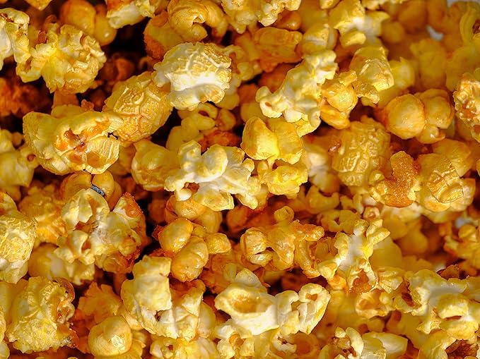 Amish Country Popcorn | 12 Pack Mixed Seasoning Bundle