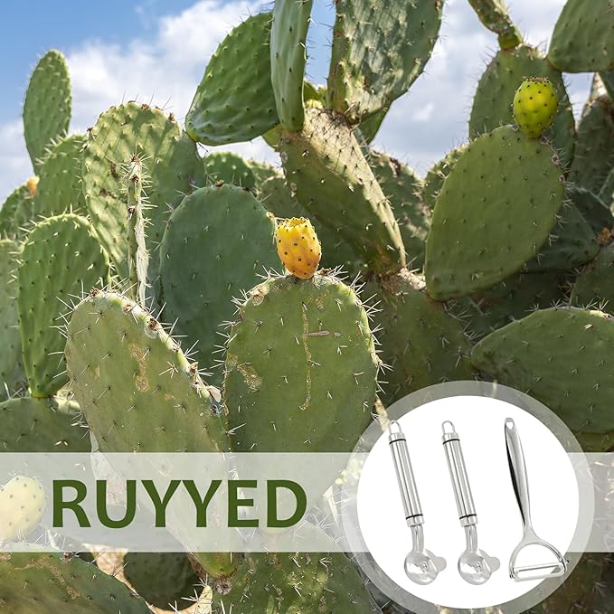 3Pcs Cactus Peeler Tools Set: Stainless Steel Cactus Peeling Knife and Cactus Peeler Spoon - Pelador de Nopales, Sliced Noodle, Vegetable Paring Cutter Featuring for Efficient Kitchen Cooking Gadgets