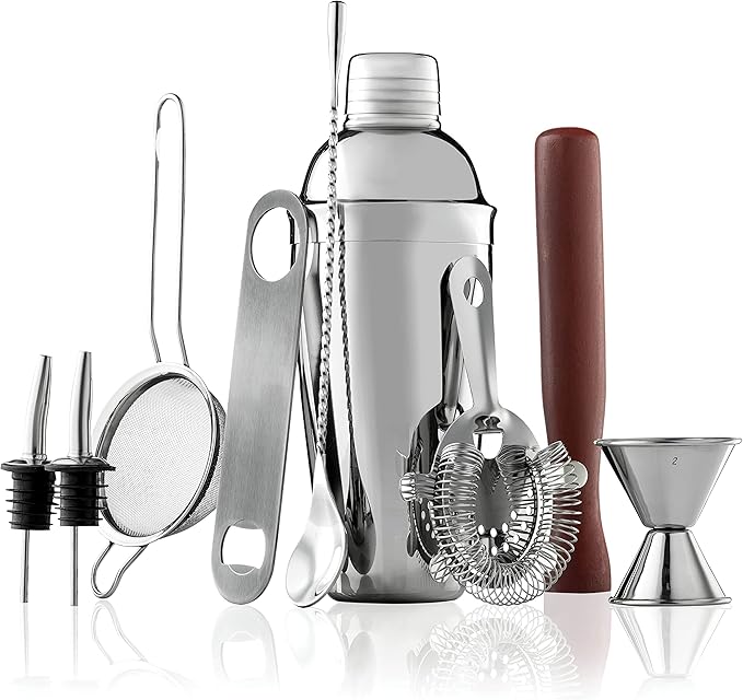 FineDine 10-Piece Cocktail Shaker Set with Travel Bag - Stainless Steel Shaker Set Bartender Kit - Mixology Bartender Kit - Strainer, Muddler, Jigger, Bar Spoon, Bottle Opener, Pour Spouts - Bar Set