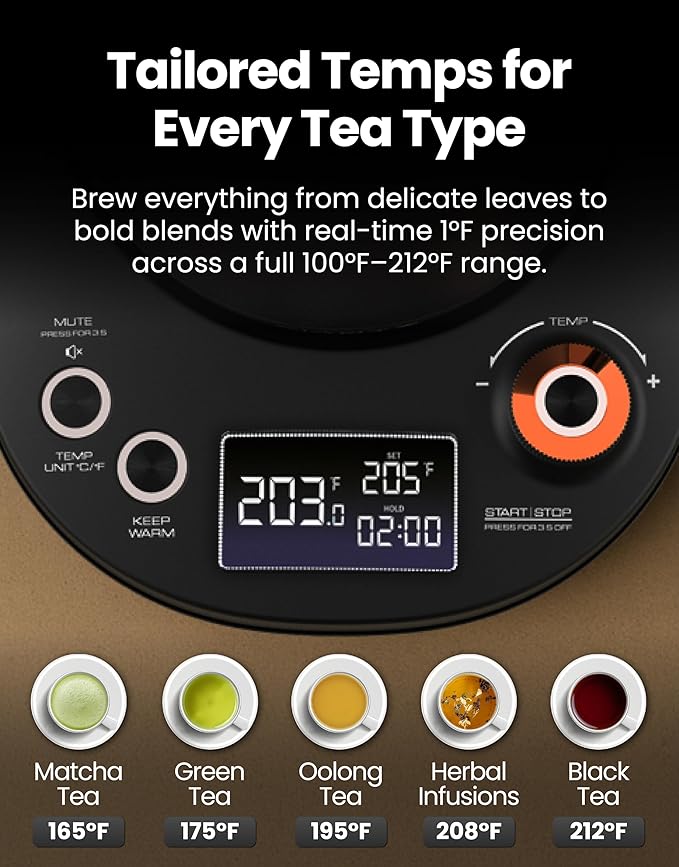 Vianté Electric Gooseneck Kettle with Precise Temperature Control. Pour Over Coffee & Tea Kettle. Boil-Dry Protection & Keep Warm Function. Stainless Steel, BPA-Free. Includes #2 Filters. 0.8L