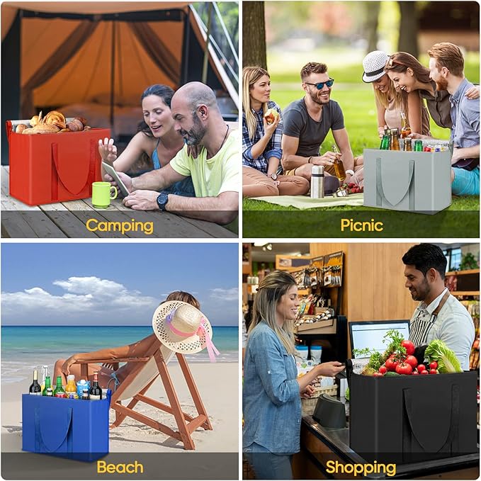 BALEINE 2Pk Insulated Reusable Grocery Bags, Collapsible Cooler Bag for Groceries, Heavy Duty Large Insulated Bag (16''x9''x13'', Spring Stroll)
