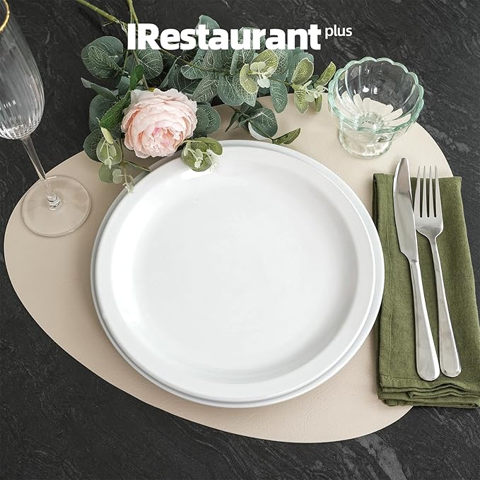 Stoneware Narrow Rim Commercial Grade Ceramic Dinnerware Bright White, Round Dinner Plate 9", Case of 24, Restaurant & Home Dining
