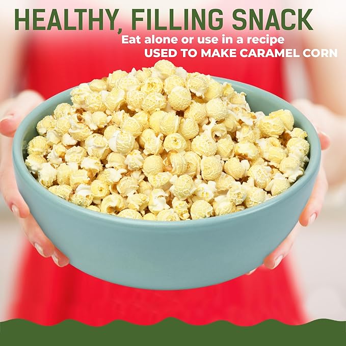 Princeton Popcorn Mushroom Popcorn Kernels - Farmer Direct, Non-GMO, Gluten Free, Un-Popped, Ball Shaped, Old Fashion Popcorn Pops Extra Large popcorn kernels, mushroom popcorn kernels for popping for Air Popper & Stovetop 16oz