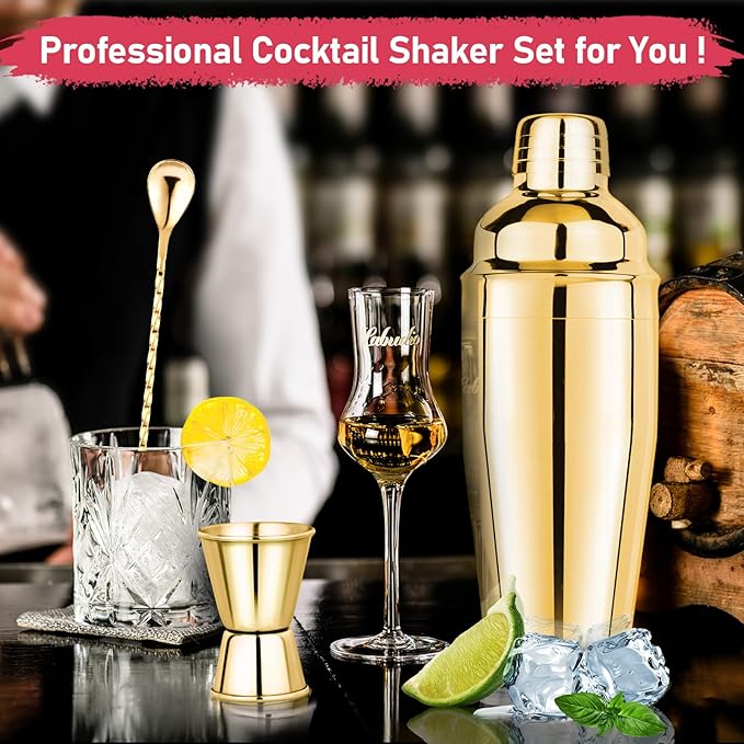 24oz Cocktail Shaker Set Martini Shaker Set Bartender Set with Margarita Mixer Drink Shaker, Measuring Jigger and Mixing Spoon - Professional 18/8 Stainless Steel Bar Tools for Mixed Drinks (Gold)