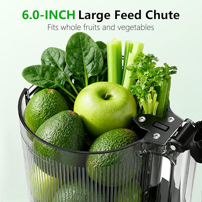 Cold Press Juicer, 6" Extra Large Feed Chute Slow Masticating Juicer Machines, Powerful AC Brushless Motor, Self Precut System, Juicer Machines with BPA-Free, Extra one Replace juicer strainer