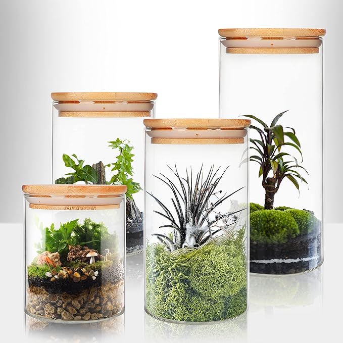 Glass Food Storage Containers Jars with Airtight Bamboo Lid 12 oz 9 pcs, 340 ml Pantry Organization Jar, Glass Terrarium with Lid, Spice, Flour and Sugar Container, Canister Set for Kitchen Counter