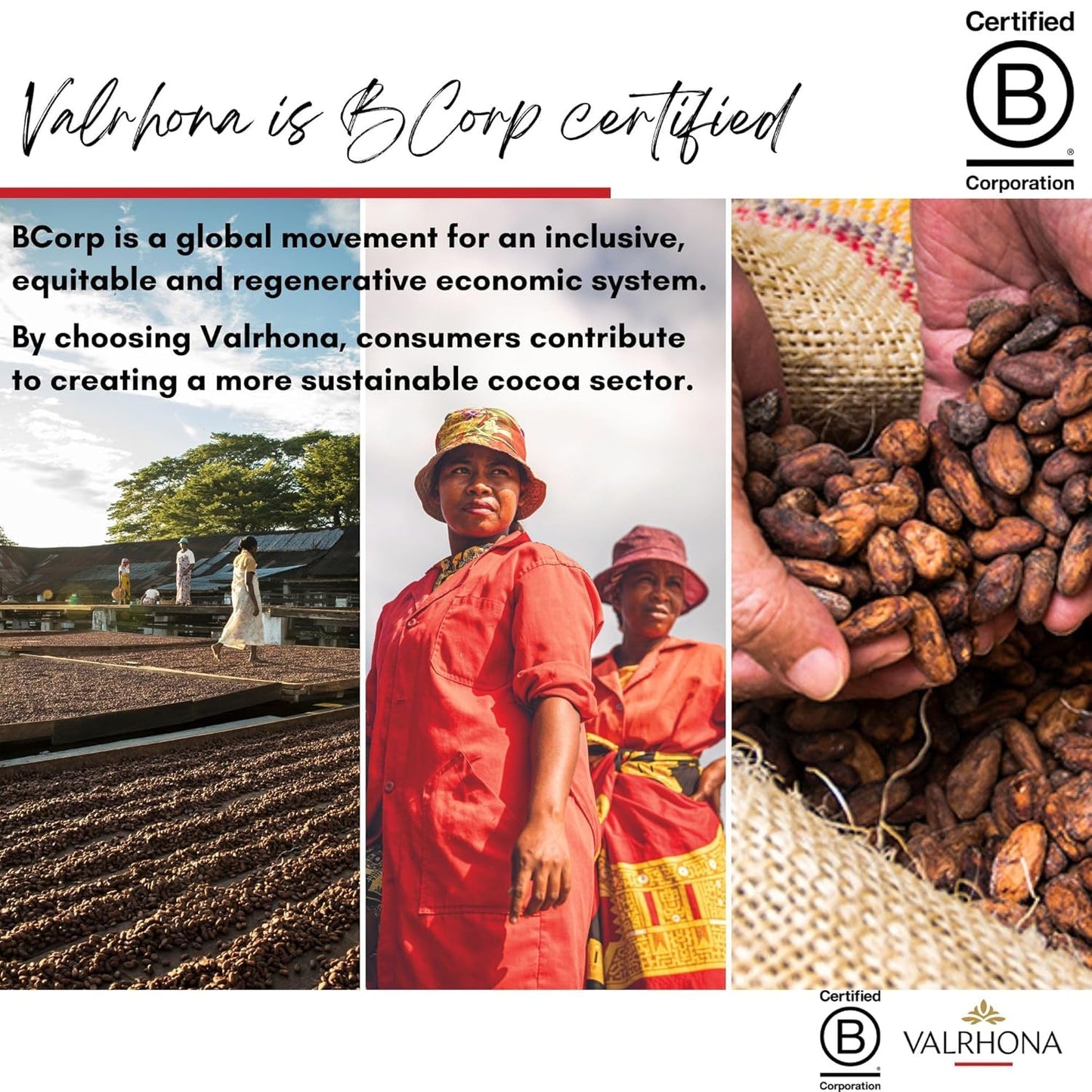 Valrhona Premium French Baking Blonde Chocolate Discs (Feves). DULCEY 35% Cacao. Creamy, Caramel Cookie Flavor Notes. Easy Melt & Tempering. Creamy, Balanced, For Luscious Frostings. 250g (Pack of 2)