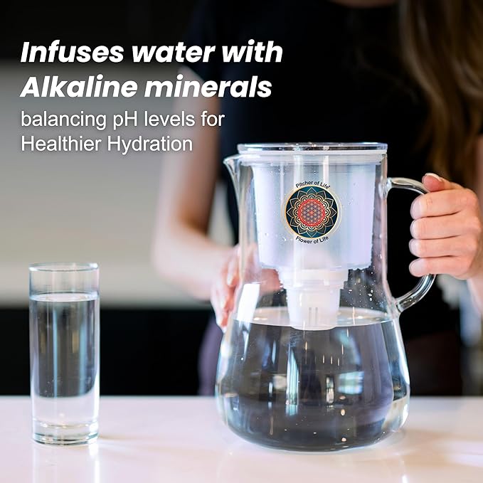 Borosilicate Glass PITCHER OF LIFE with Stainless Steel Infuser Alkaline Water Replacement Filter Pack of 3