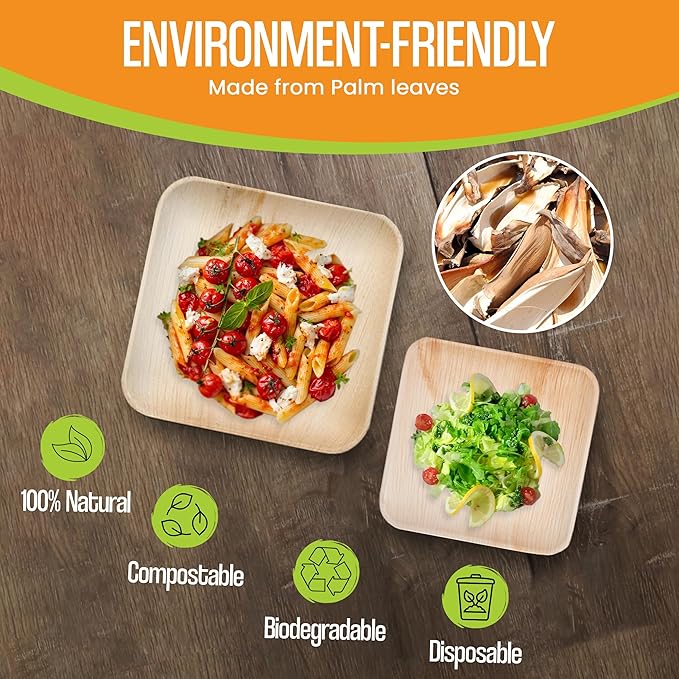 Raj Palm Leaf Plates Disposable Bamboo Plates 10 Inch & 7 Inch Square Party Pack (100 Pc) Compostable and Biodegradable - Better than Plastic & Paper Plate for Lunch, Birthday, Camping