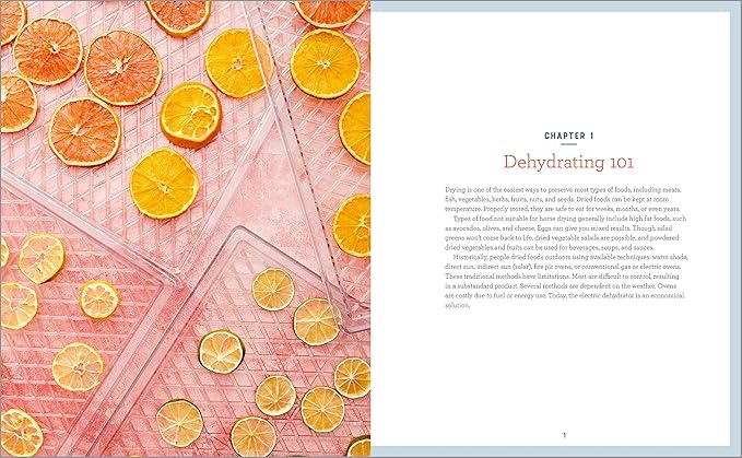 Electric Food Dehydrator Machine, Professional Multi-Tier Kitchen Food Appliances & Complete Dehydrator Cookbook: How to Dehydrate Fruit, Vegetables, Meat & More