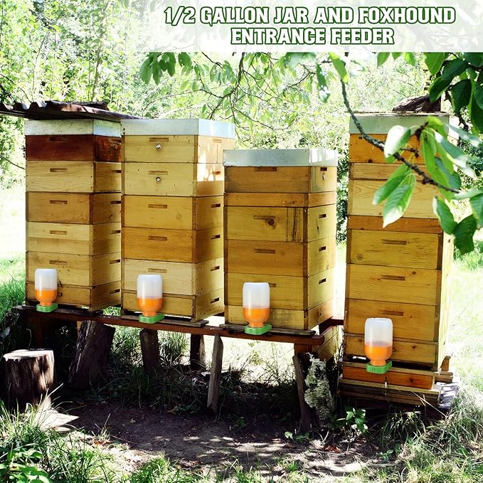 LemonRoad 4 Pcs Honey Bee Feeder for Beekeeping Beehive Entrance Feeder Watering Station with Extra Large Half Gallon Bottle Beekeeping Supplies for Outside Garden Feeding Sugar Syrup