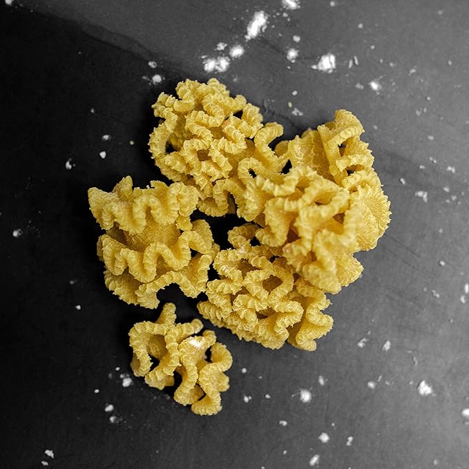 Radiator Pasta Shape Discs Fit For Philips Automatic Pasta & Noodle Maker, Philips Pasta Maker Attachments, Kitchen Appliances, Accessory Kit (Radiator)